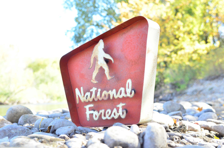 STACKED NATIONAL FOREST SIGN