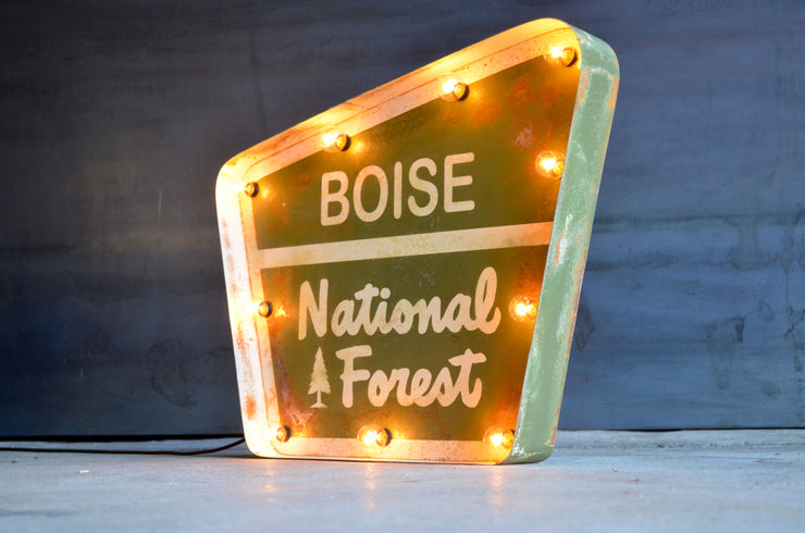 NATIONAL FOREST LIGHTED SIGN